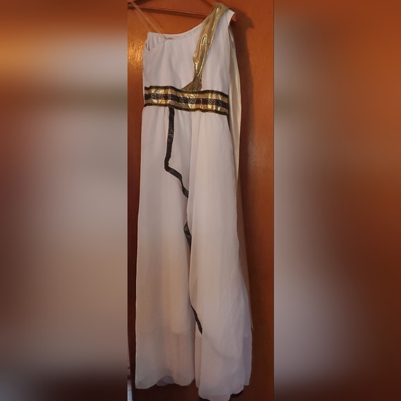Greek Goddess Hallowe'en Gown, Size Adult Extra Large - Picture 2 of 4